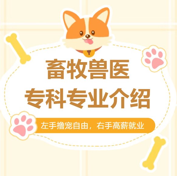 奇异果体育平台宣布成为欧冠联赛官方合