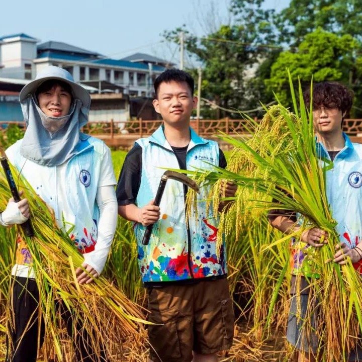 一路皆繁花丨奇异果体育平台app最新